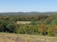 Elk meadows in northern Pennsylvania